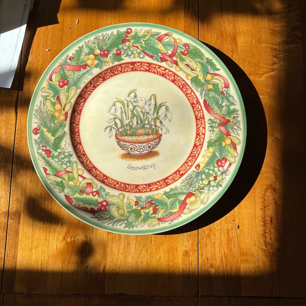NWOT Beautiful Rare Vintage Villeroy & Boch 9” Plate